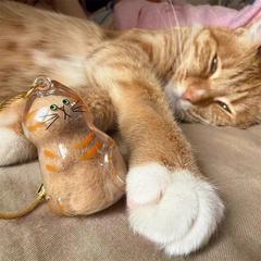 猫の毛収集ボトル透明収納ボックスペンダントペット猫の毛収納ガシャポンバッグキーホルダーペンダント記念