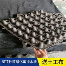 HDPE凹凸型塑料滤水疏水板车库顶板花池种植排水板建筑绿化阻根板