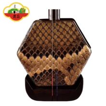 虎丘二胡乐器5117厂家直发正品名牌专用入门初学者专业苏州胡琴