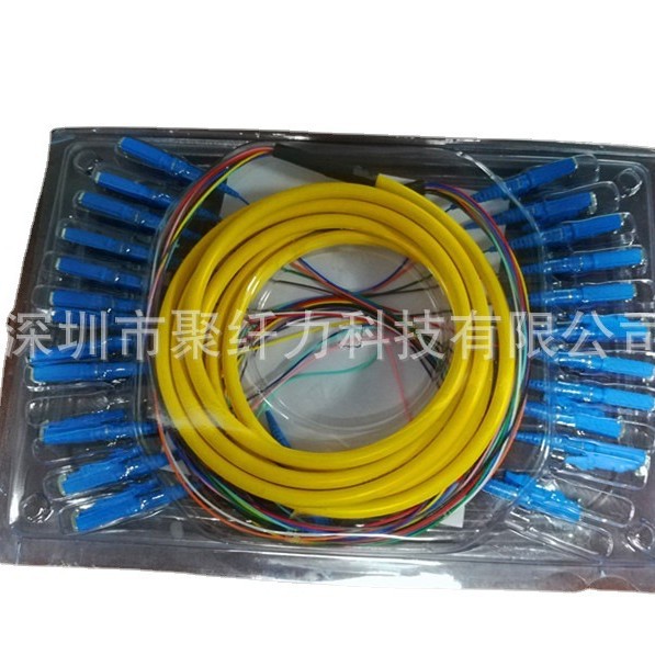 ֱE2000/upc ģ12оװβ  bunch pigtail