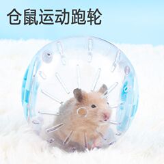 小倉鼠玩具跑球滾輪運動金絲用品跑步滾球閃光跑步球