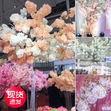 Ĳ渻Fѻٻ֦ѻb⻨@c쾰Ҿ̨[