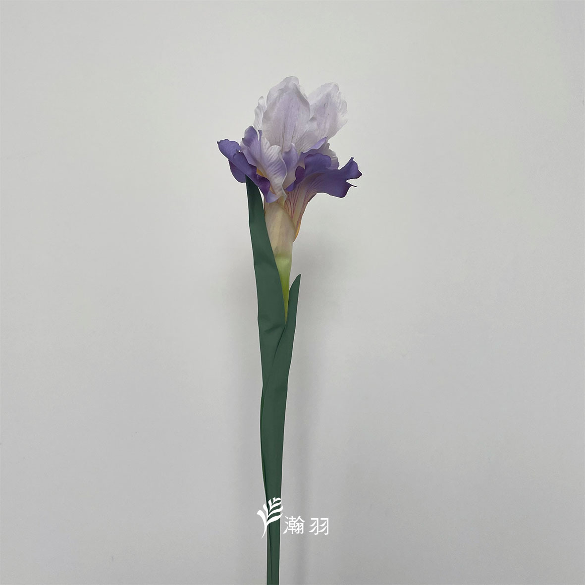 밝은 보라색