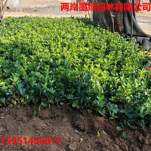 �G����С�~�S����~�S����߅�S������S�����ǧ�갫ͥԺ�G�h