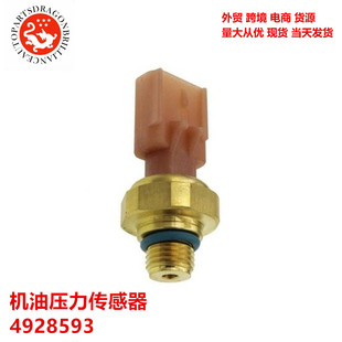 �m����������\�m��춸��￵��˹��܇����C�͉��������� 4928593