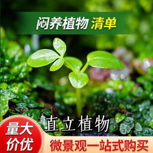 ���ճ���_�h��С����������΢���^�҃������{���������_ľ