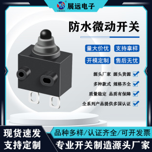 Pearl River Delta Factory Supply Smart Toilet Waterproof Micro Switch Car Door Control Handle Micro Button Switch
