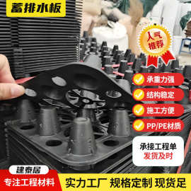 黑色HDPE蓄排水板滤水隔水车库顶板屋顶花园绿化疏水绿色蓄排水板