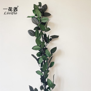 ���߹����������։�õ��֦�l������DIY���r��֦�l���U���l�ɻ�