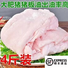新鲜猪板油猪油猪肥油荤油白油猪大油新鲜冷冻肥膘出油率高生猪油