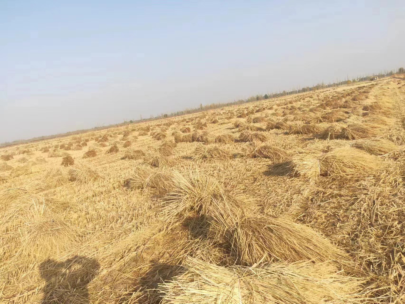 847ef4df7df4e9fce068c7be5f0e42