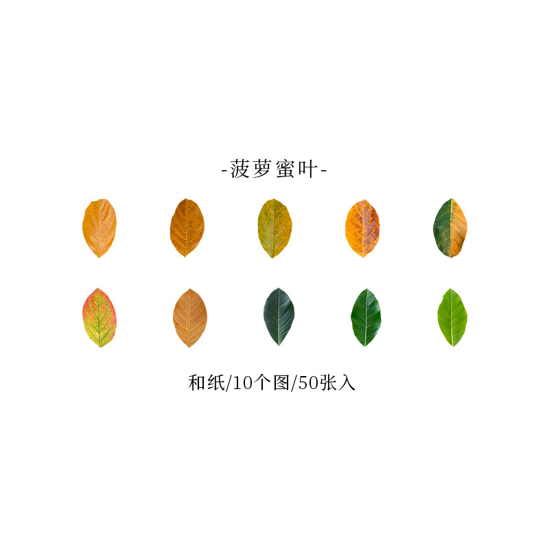 Hermosa serie de hojas caídas de xiangxie día deja cinta de forma especial Diario pegatinas decorativas base 8