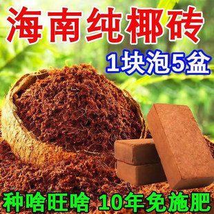 Ҭ�u�I�B���B���N��ͨ����Ҭ����Ҭ���N������������Nֲ��Ү�u��