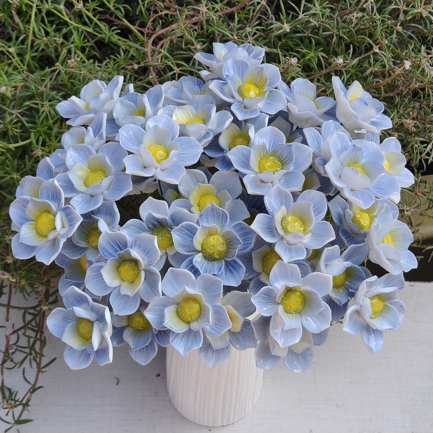 37F3A097987BE1CA04FFD5E35124CC