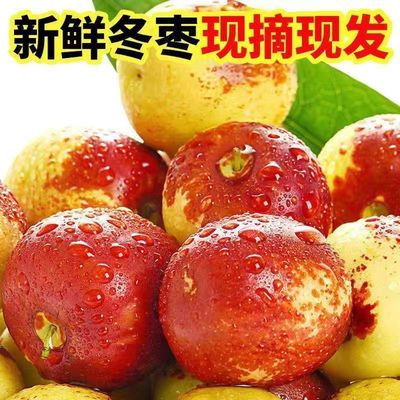 Zhanhua Jujube Pellicle Jujube fresh fruit crispy dates Dates Jujube Shaanxi Dali Jujube