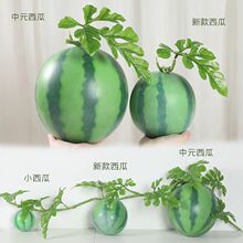 ?����ģ�ͼ�����Ƭˮ���߲˔zӰ�Ӽ��b���̮��ҵ��������