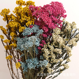 ��������С�׻������W�L�bҾӔ[�O�廨�ֹ�diy�ɻ������ײݻ�