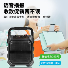 Portable Bluetooth Speaker with Outdoor Convenience, KTV Wireless Microphone, Special Effects Sound, Large Volume for Square Dancing