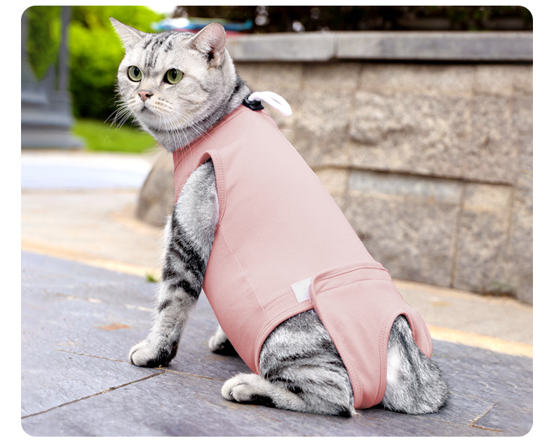 猫术后服_11.jpg