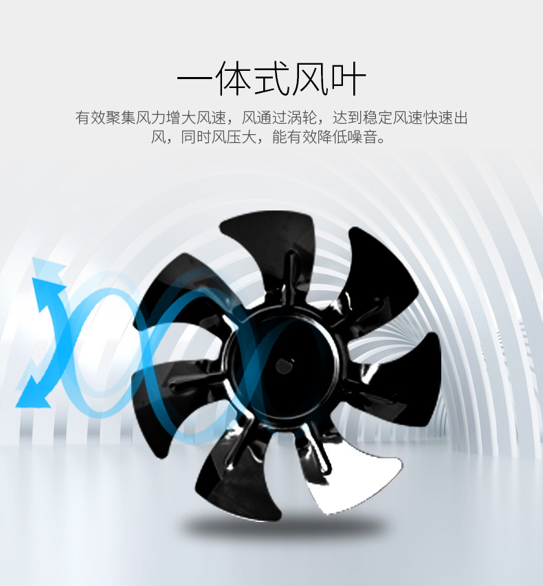 详情6