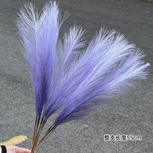 �����JȔ�݉��ß������Y��̨�쾰����u׃ɫ���[�ݾ`�Ż����Y��