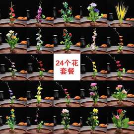 酒店意境菜品冷菜盘饰餐饮刺身摆盘装饰花草创意小摆件寿司点缀花