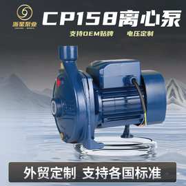 外贸CP158大流量自吸离心泵佩德罗款家用热水地暖循环管道增压泵