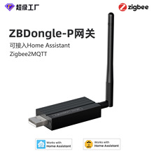智能网关ZBDongle-P万能桥接器Zigbee 3.0智能家居MQTT网关