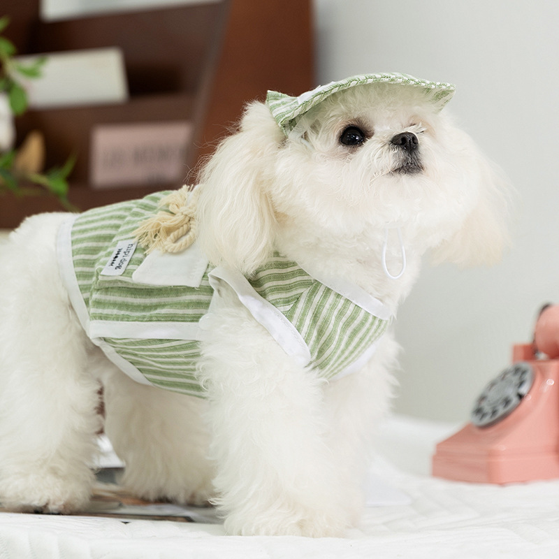 Ropa para cachorros simple chaleco de princesa a rayas gato verano protector solar con capucha sin mangas perro mascota ropa para perros al por mayor image 3
