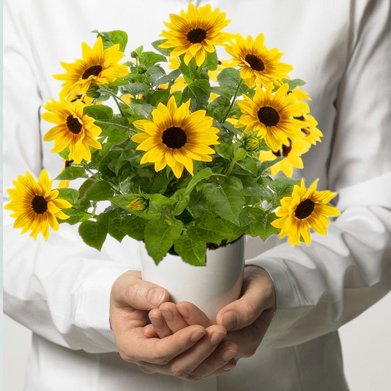 378ef145-2069-4bd7-932f-b03e82dd2cdf.jpe