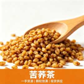 云南黄苦荞茶散装新货 麦香浓郁苦荞 饭店酒店泡水茶 地摊展销会