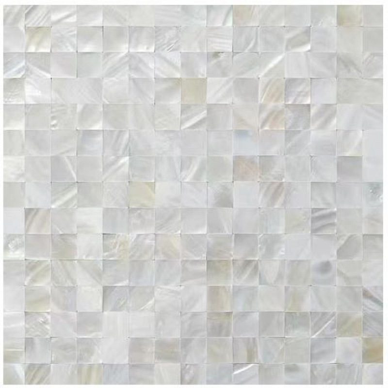 단립 20개 흰조개 5개