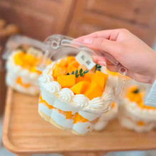 手提花篮蛋糕盒豆乳千层慕斯盒4寸透明沙拉水果捞野餐厚切酸奶盒