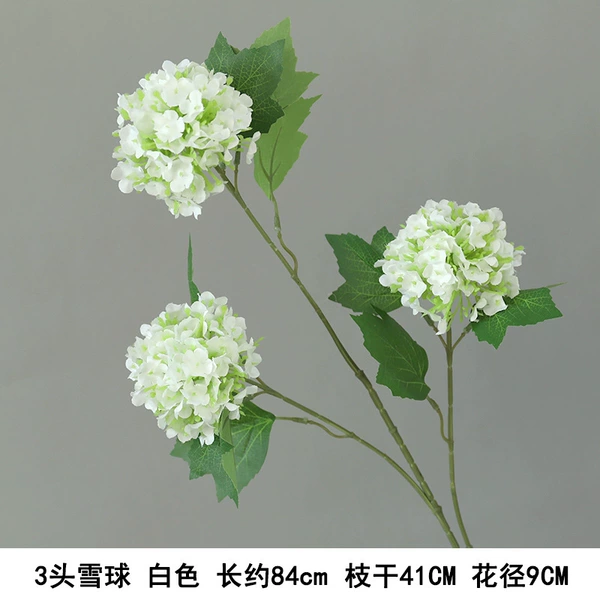 3 snowball white