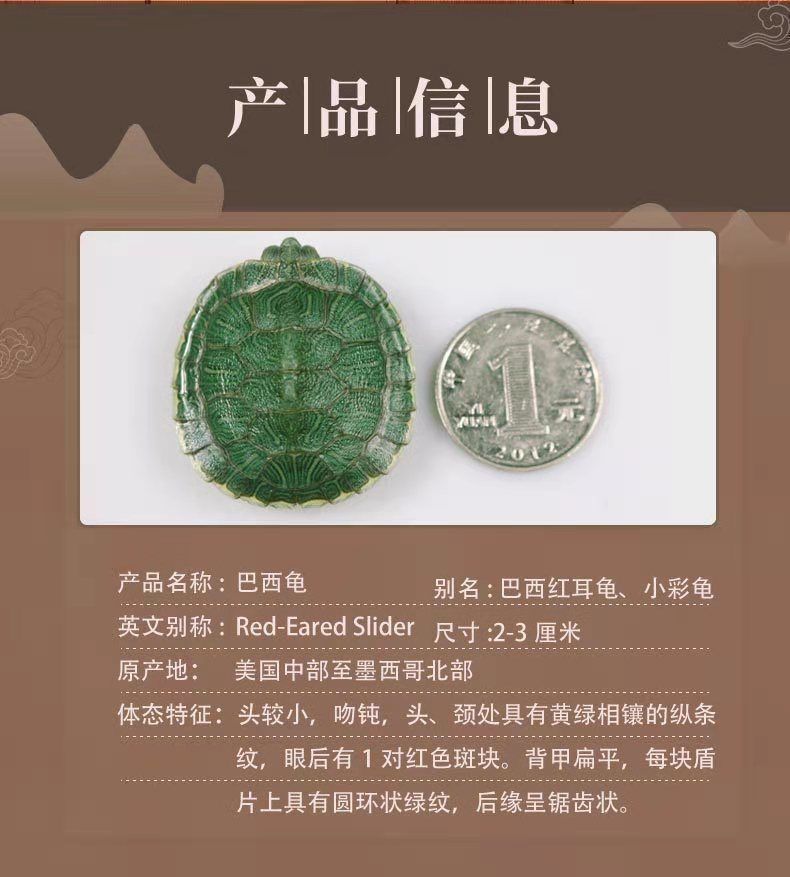 f99e4305-3f60-420f-adcb-d832e432db7a.jpe