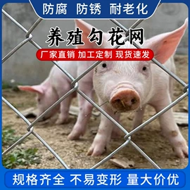 铁丝网;钢丝网;金属丝绳