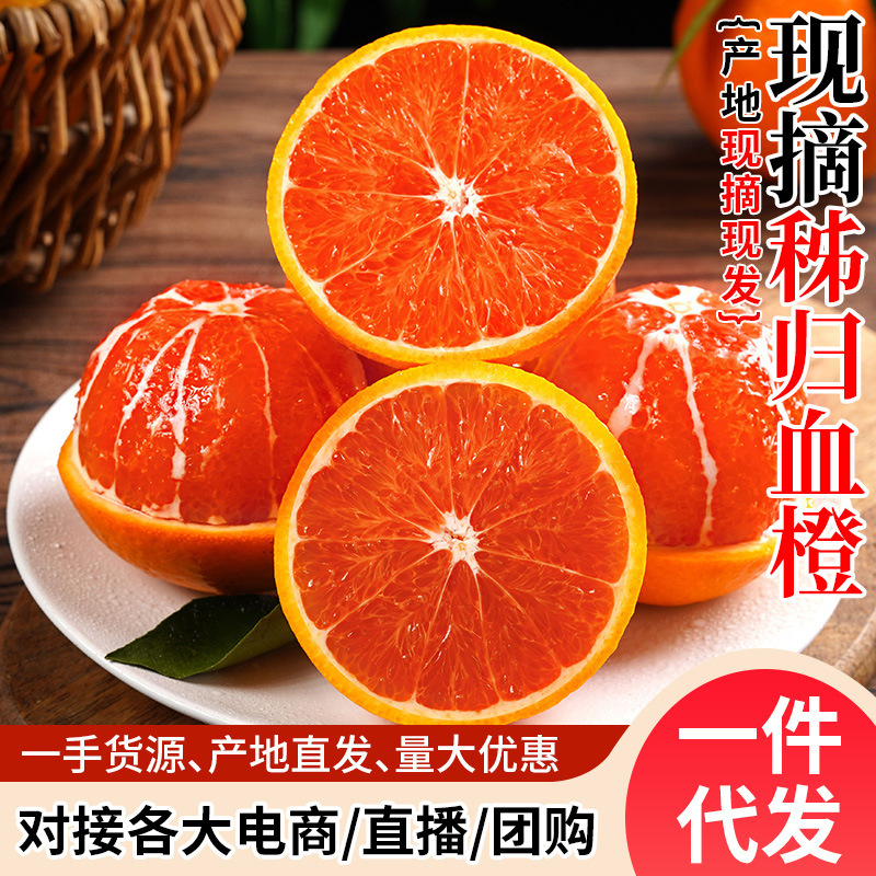 Authentic Zigui Blood Orange Chinese Red Heart Orange Seasonal Fresh Whole Box Fragrant Orange Sweet Orange Seasonal Fruit