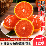 正宗秭归血橙中华红心橙子当季新鲜整箱香橙甜橙斤时令水果