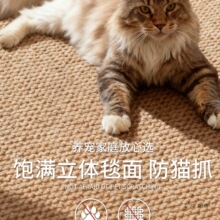 �����й��L��̺�͏d2026�¿��؈ץ�əCϴ���龎�������B؈��̺