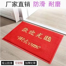 门口地垫出入进门垫入户门垫大尺寸欢迎光临地毯家用脚垫一件批发