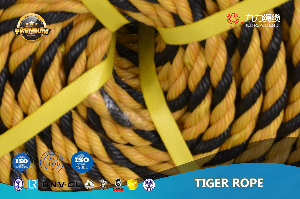 虎斑绳 黑+黄
