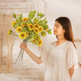 INS�L�������տ���֦�ٻ���c���滨�S�ҼҾ��b羳���lYC1057