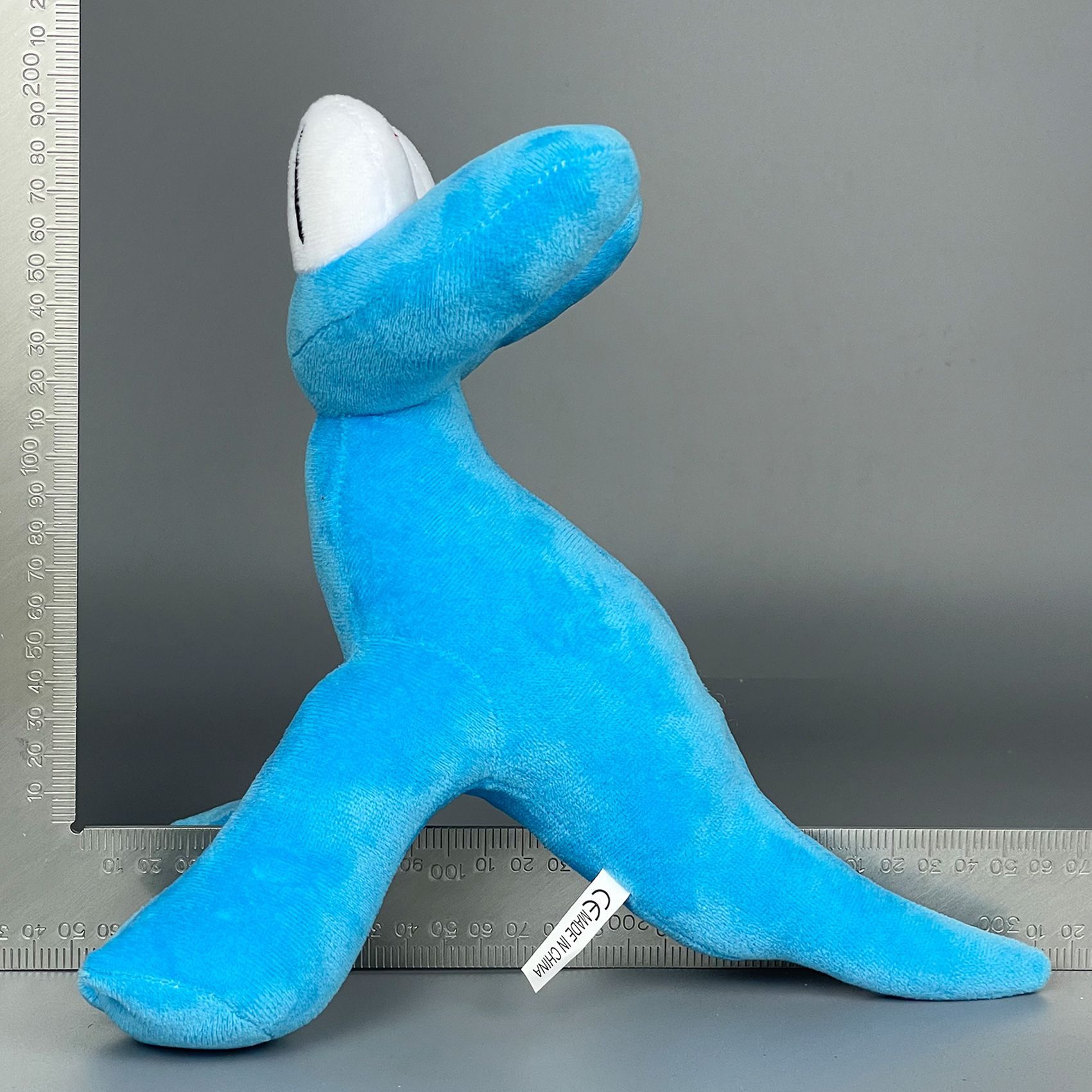 实拍 蓝龙 (3).jpg