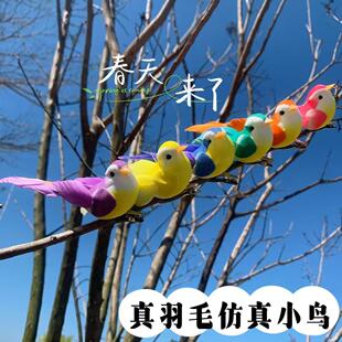 ���湤ˇ�B��@�L����B���@ͥԺ�׃��@�Ҿ��b[���羳؛Դ���l