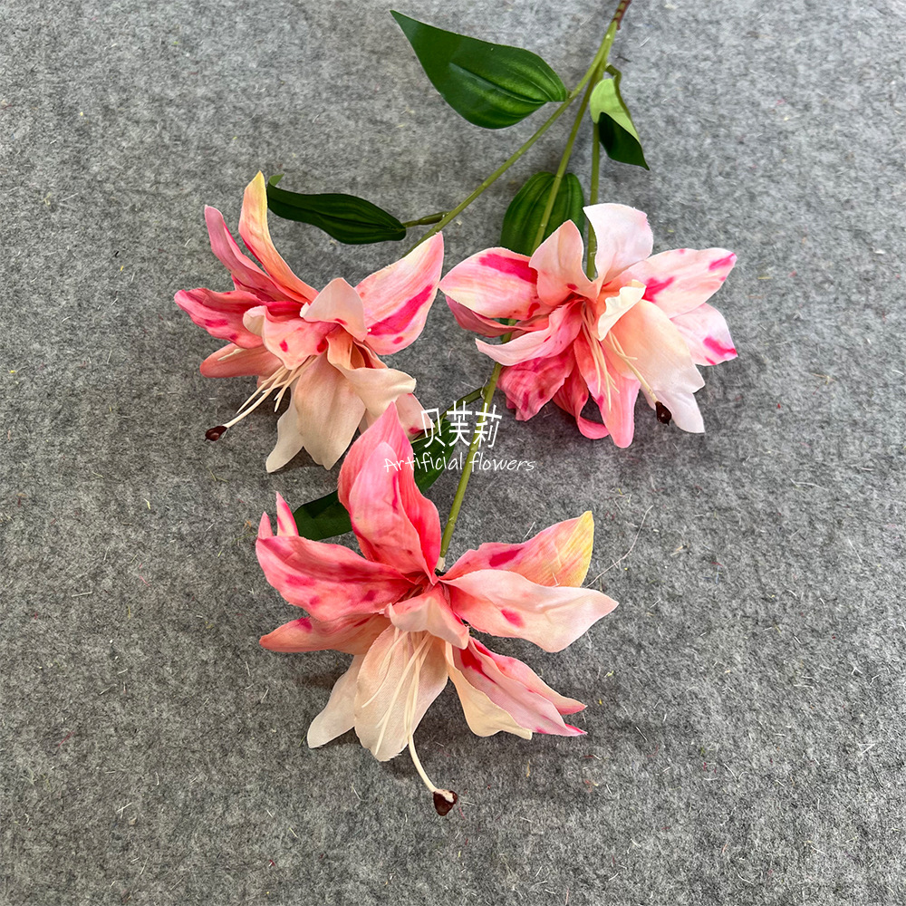 3D 사유리 그라데이션