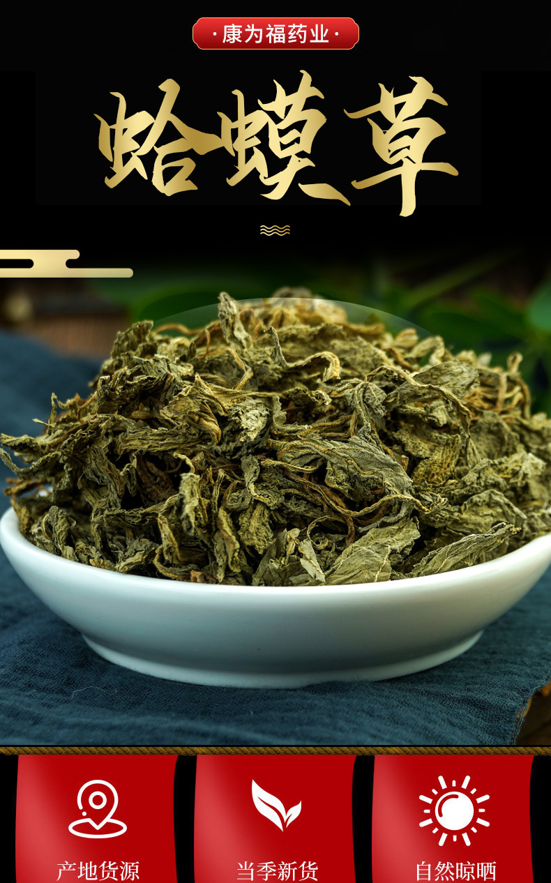 Ha Ma Cao (Salvia plebeia) — Dried Food Herb, 500g Loose Leaf overview