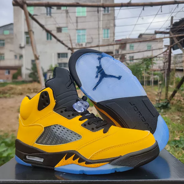 AJ5-Yellow Michigan