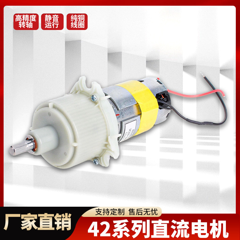 Factory Direct Sales 42 Series Dc Motor Slow Juicer Motor Juicer Motor with Matching Gearbox