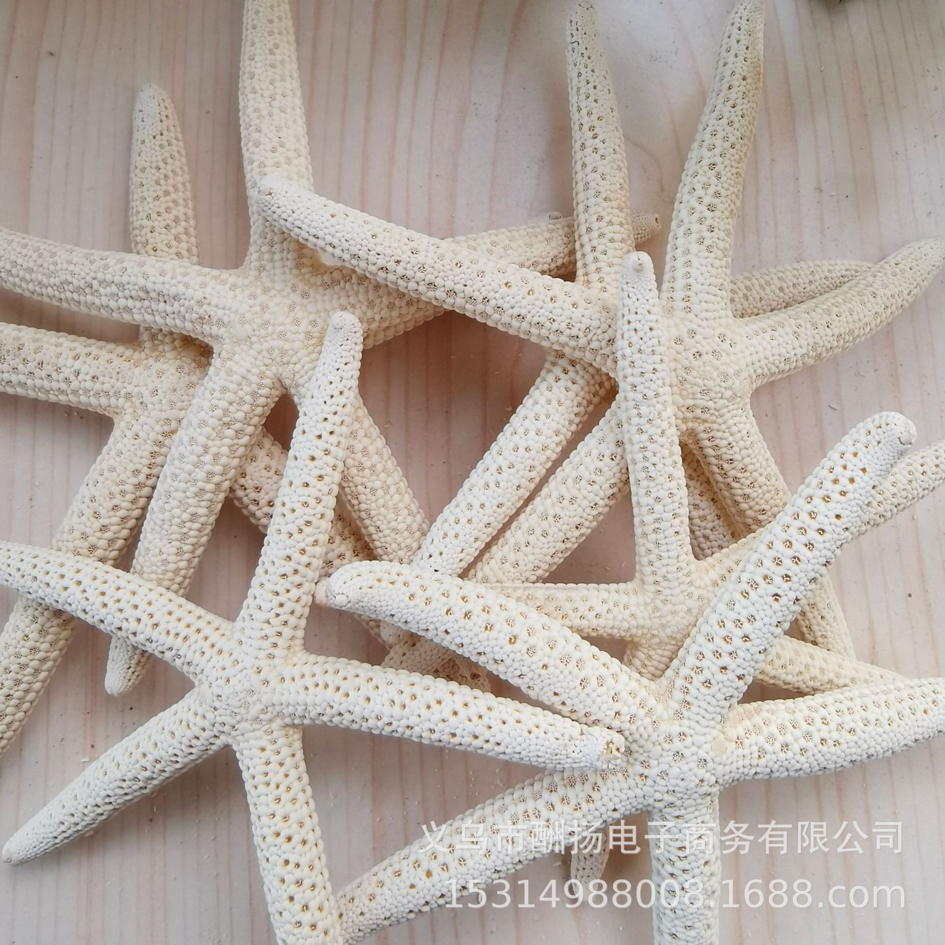 9-12cm five-fingered starfish 1 piece
