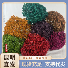 永生花アンナ刺繍は色の乾いた花の花束を吸います。